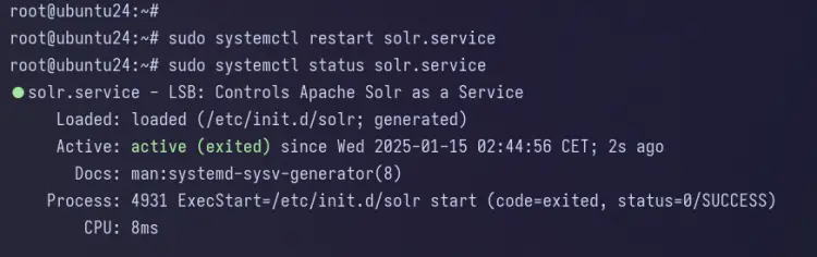检查Solr状态