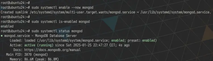 MongoDB服务状态
