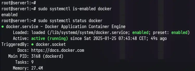 检查Docker状态