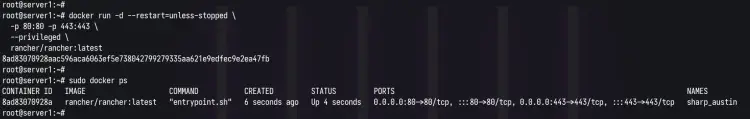 Docker ps检查Rancher