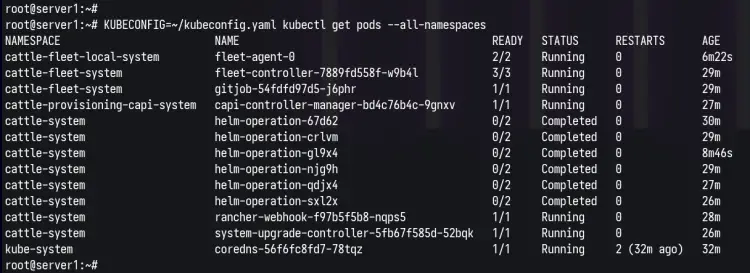 通过kubectl检查Kubernetes Pod