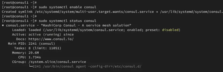 Consul在consul1服务器上运行