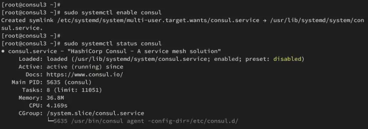 Consul在consul3服务器上运行