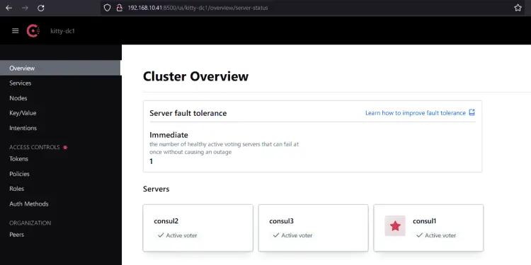 Consul Web UI管理面板