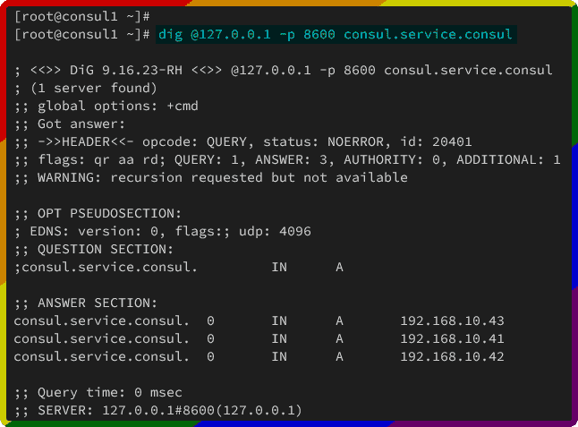 Consul DNS查询