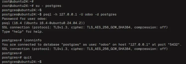 Ubuntu 24.04安装Odoo ERP教程