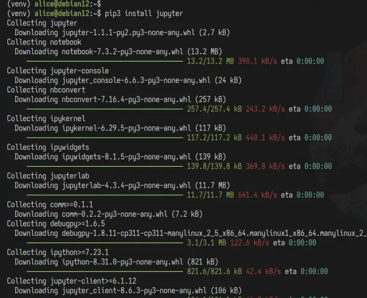 Debian 12安装Jupyter Notebook教程