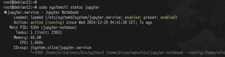 Debian 12安装Jupyter Notebook教程