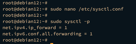 Debian 12启用端口转发