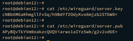 查看WireGuard服务器密钥