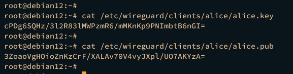 查看WireGuard客户端密钥