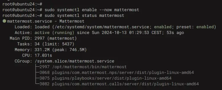 Ubuntu 24.04安装Mattermost团队协作平台教程