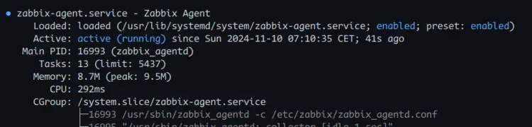 检查 Zabbix Agent 状态