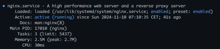 检查 Nginx 状态