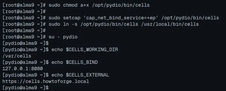 验证Pydio Cells环境变量