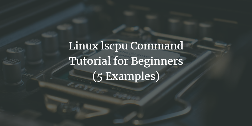Linux lscpu命令使用教程：查看CPU架构信息