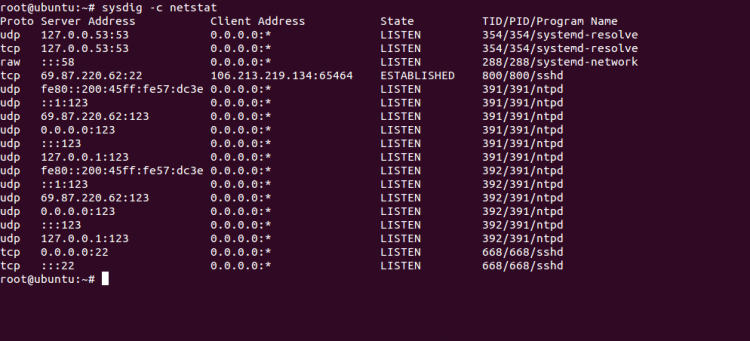 sysdig netstat输出