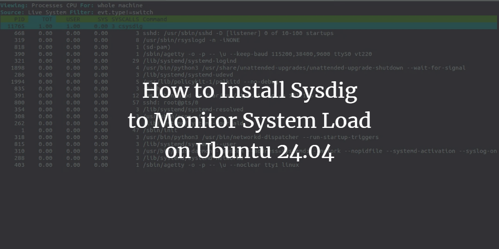 Ubuntu 24.04安装Sysdig系统监控工具教程