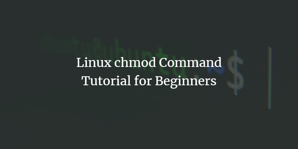 Linux chmod命令使用教程：文件权限管理详解