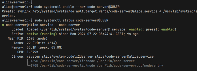 启动并验证 code-server 状态