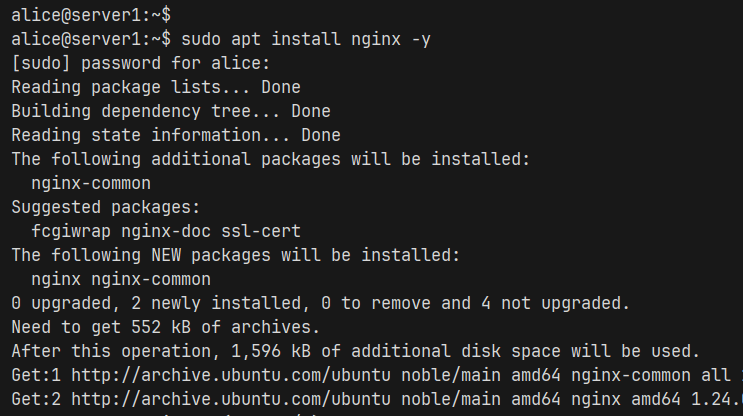 安装 Nginx
