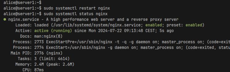 检查 Nginx 状态