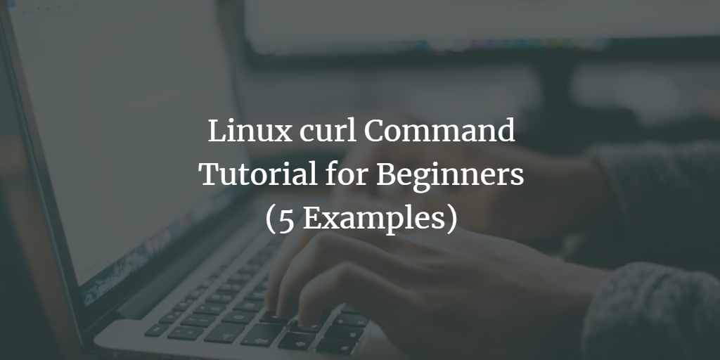 Linux curl命令使用教程：文件下载与传输详解