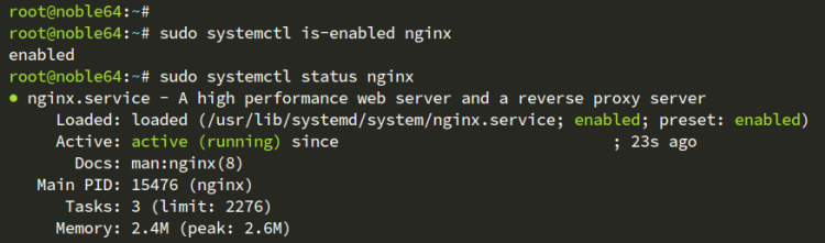 检查Nginx状态