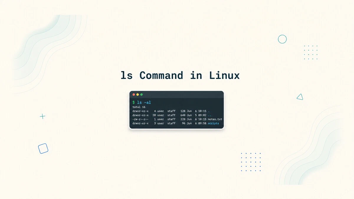 Linux 中 ls 命令详解:列出文件、目录与权限、排序递归等用法