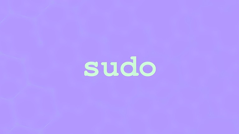 sudo 命令详解：以 root 身份运行命令与权限委派