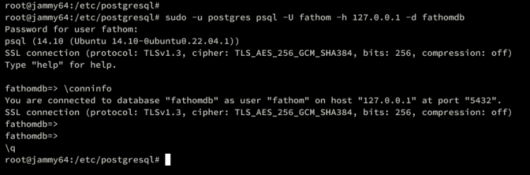 在 Ubuntu 22.04 上安装注重隐私的 Fathom 网站分析