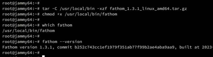 在 Ubuntu 22.04 上安装注重隐私的 Fathom 网站分析