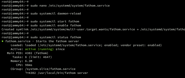 在 Ubuntu 22.04 上安装注重隐私的 Fathom 网站分析