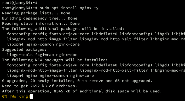 在 Ubuntu 22.04 上安装注重隐私的 Fathom 网站分析