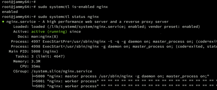 在 Ubuntu 22.04 上安装注重隐私的 Fathom 网站分析