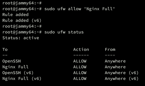 在 Ubuntu 22.04 上安装注重隐私的 Fathom 网站分析