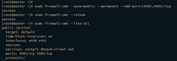 AlmaLinux 9 上 Salt IT 自动化框架入门指南