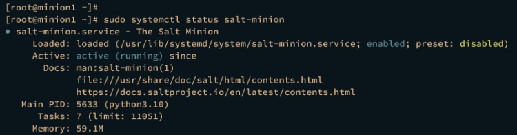 AlmaLinux 9 上 Salt IT 自动化框架入门指南