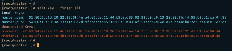 AlmaLinux 9 上 Salt IT 自动化框架入门指南
