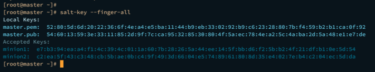 AlmaLinux 9 上 Salt IT 自动化框架入门指南