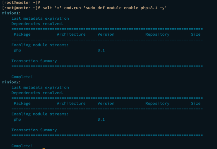 AlmaLinux 9 上 Salt IT 自动化框架入门指南