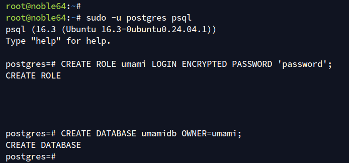 在 Ubuntu 24.04 上安装 Umami 隐私网站分析完整教程