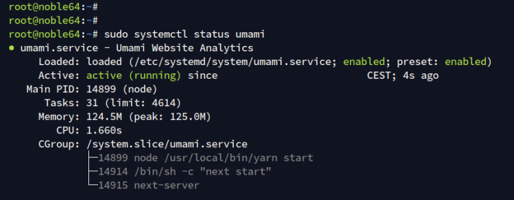 在 Ubuntu 24.04 上安装 Umami 隐私网站分析完整教程