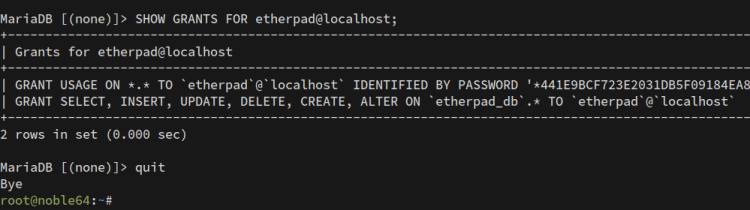 在 Ubuntu 24.04 服务器上安装 Etherpad 协作编辑器