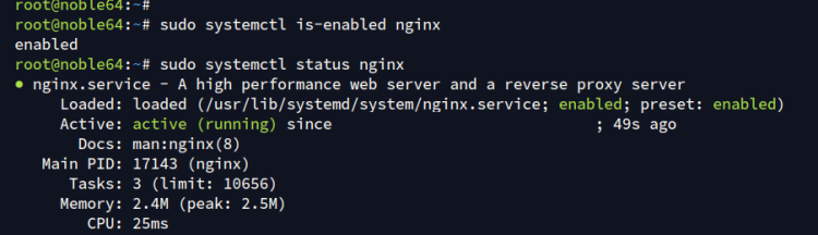 在 Ubuntu 24.04 上用 Nginx 安装 Magento 电商平台