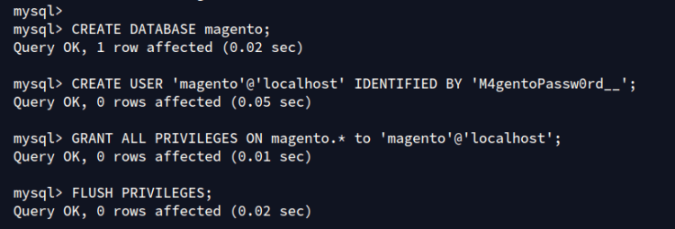 在 Ubuntu 24.04 上用 Nginx 安装 Magento 电商平台