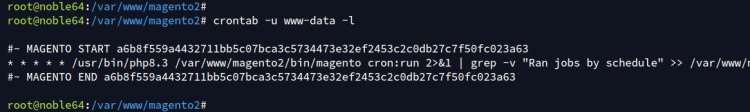 在 Ubuntu 24.04 上用 Nginx 安装 Magento 电商平台