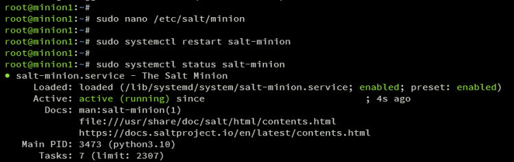 在 Debian 12 上安装 SaltStack 自动化运维框架