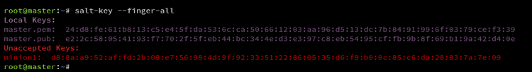 在 Debian 12 上安装 SaltStack 自动化运维框架