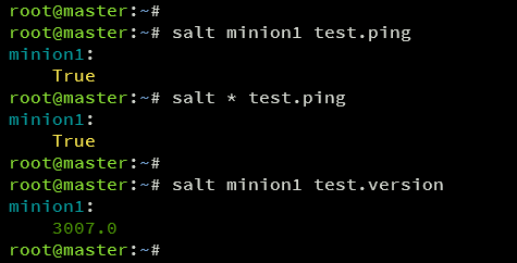 在 Debian 12 上安装 SaltStack 自动化运维框架